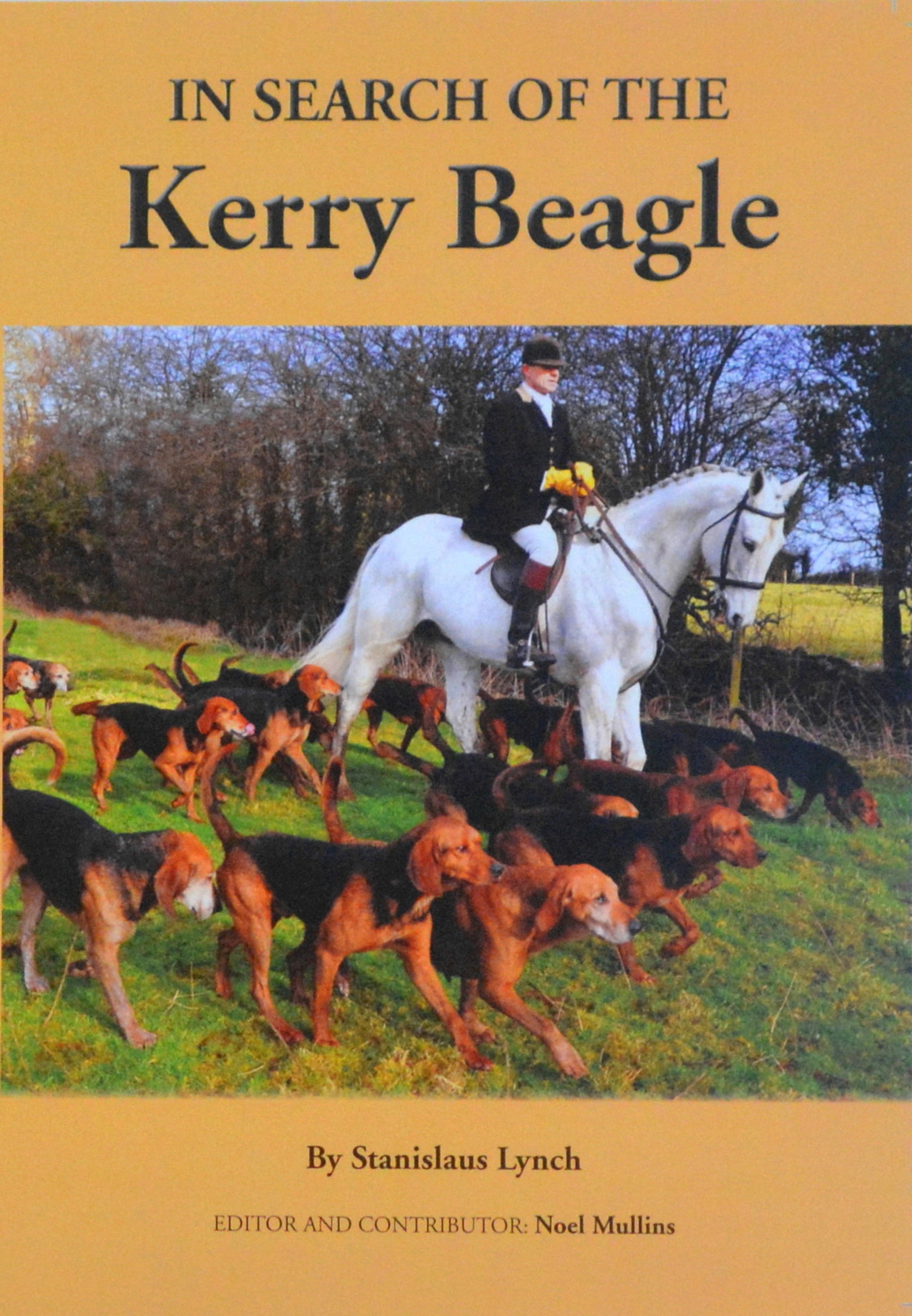 In Search Of The Kerry Beagle Noel Mullins Author Photo Journalist